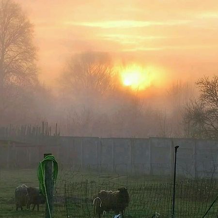 Gospodarstwo Zaborski Sad Esterno foto