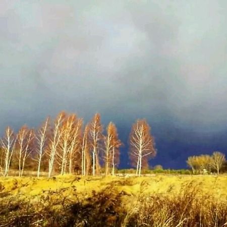 Gospodarstwo Zaborski Sad Esterno foto