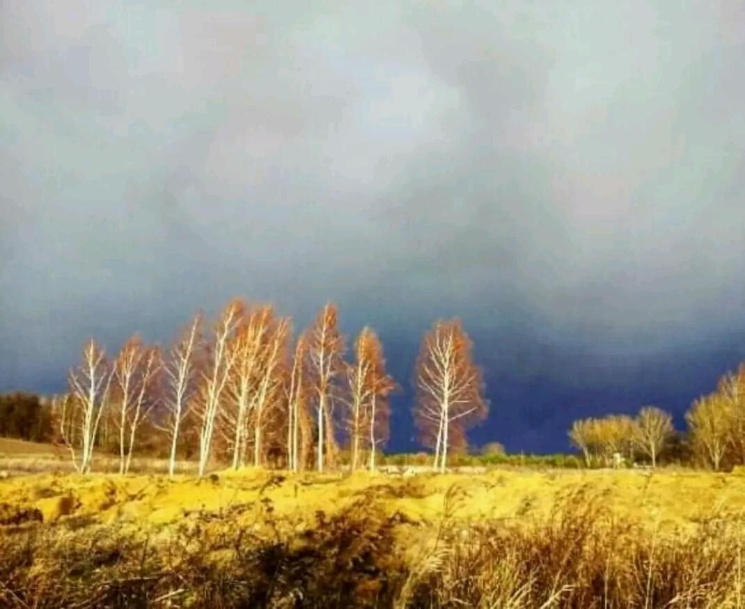 Gospodarstwo Zaborski Sad Esterno foto
