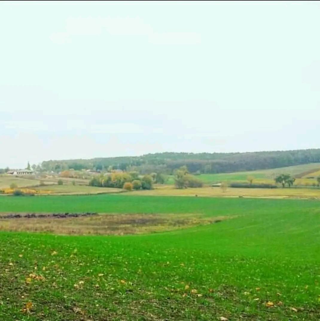 Gospodarstwo Zaborski Sad Esterno foto