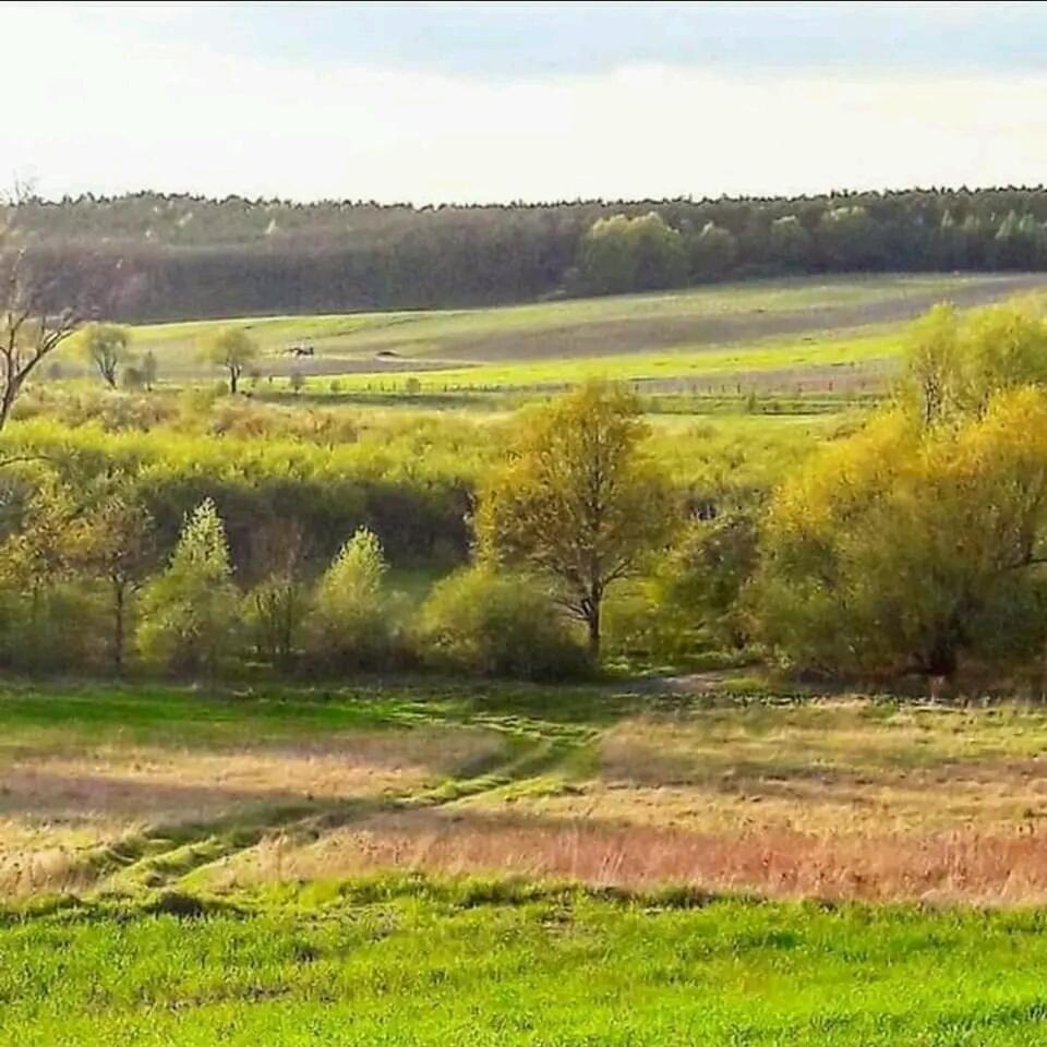 Gospodarstwo Zaborski Sad Esterno foto