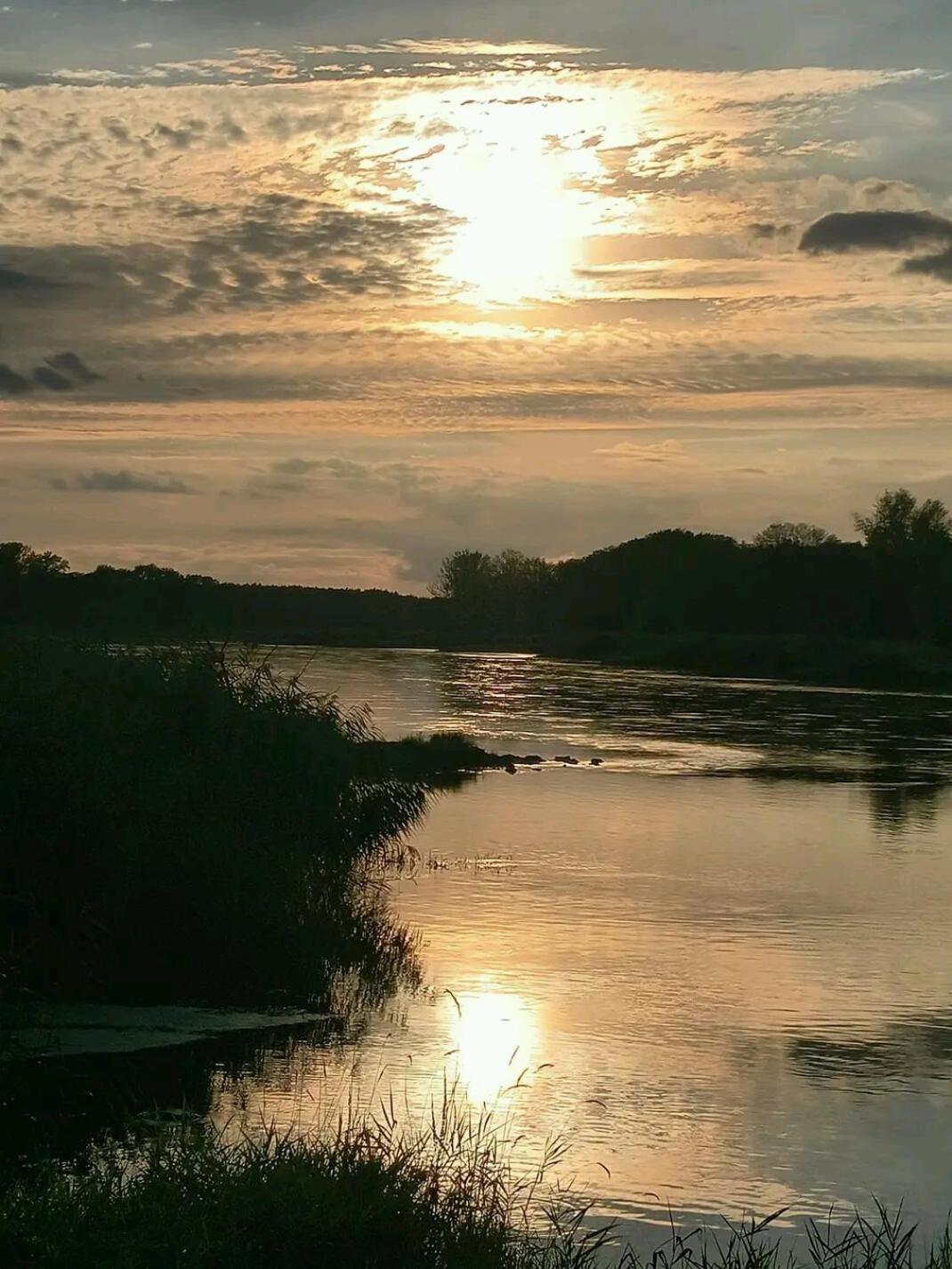 Gospodarstwo Zaborski Sad Esterno foto