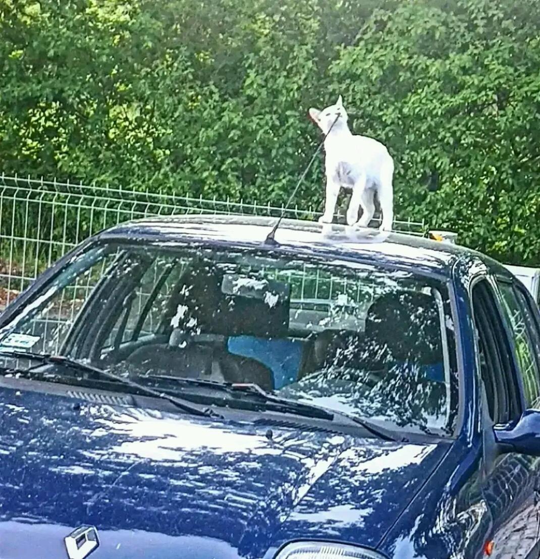 Gospodarstwo Zaborski Sad Esterno foto